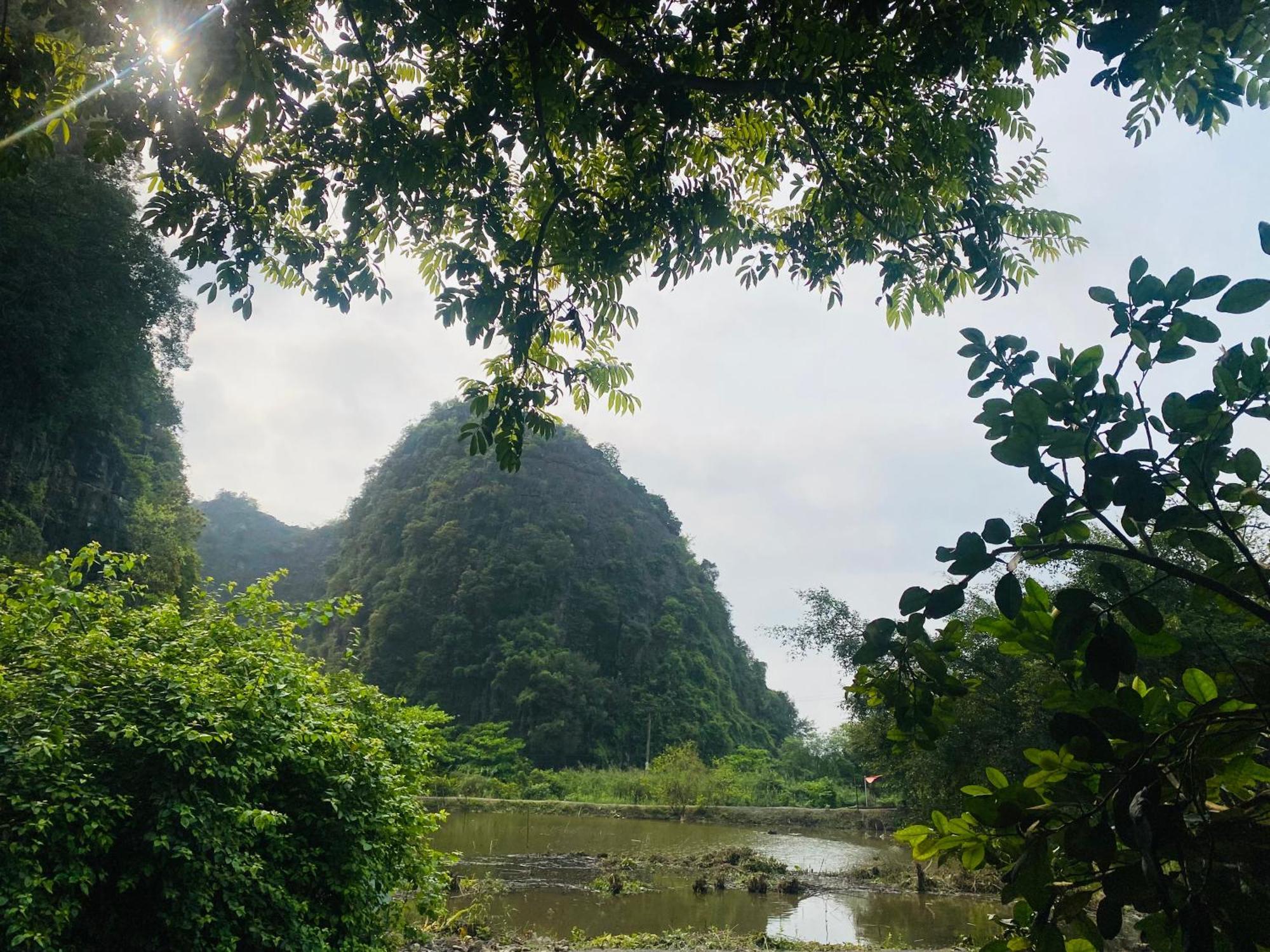 Tamcoc Viet Tan Homestay & Garden Ninh Binh Zewnętrze zdjęcie