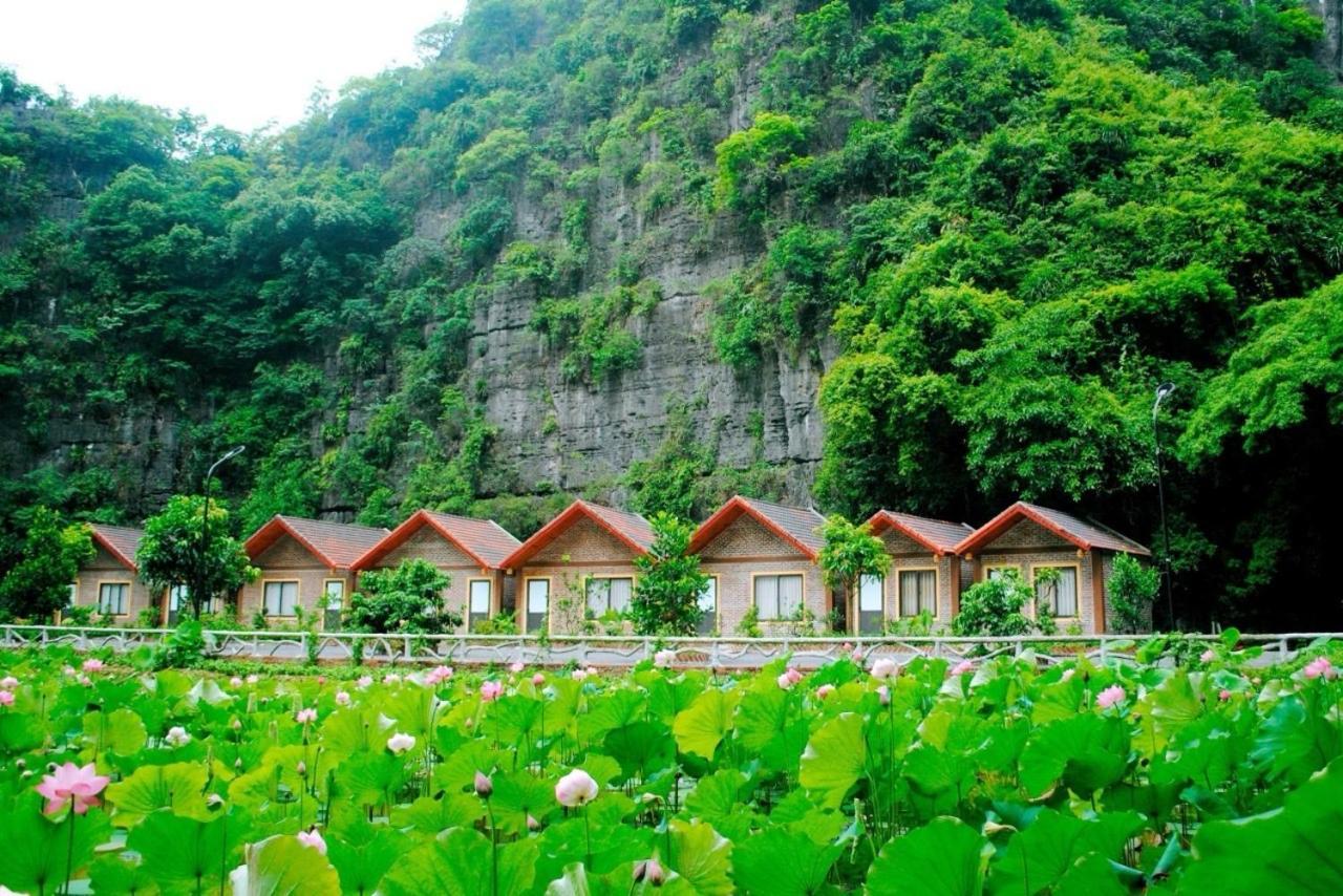 Tamcoc Viet Tan Homestay & Garden Ninh Binh Zewnętrze zdjęcie