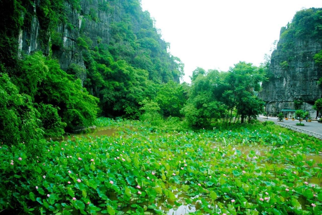 Tamcoc Viet Tan Homestay & Garden Ninh Binh Zewnętrze zdjęcie