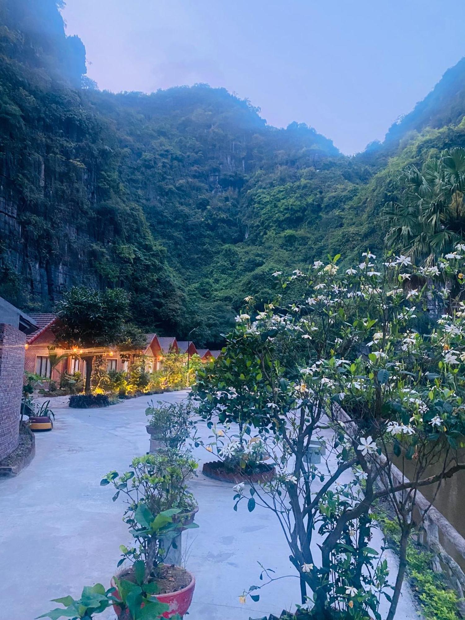 Tamcoc Viet Tan Homestay & Garden Ninh Binh Zewnętrze zdjęcie